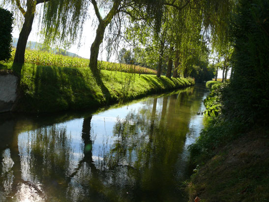 Canal d'Alaric, en amont du moulin du Las