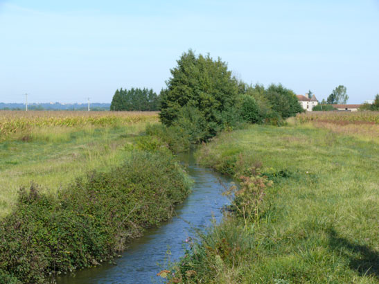 Méandres du canal d'Alaric, en amont du domaine Souquet